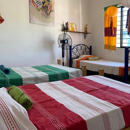 Casa El Mundo Hostel Oaxaca Екстериор снимка